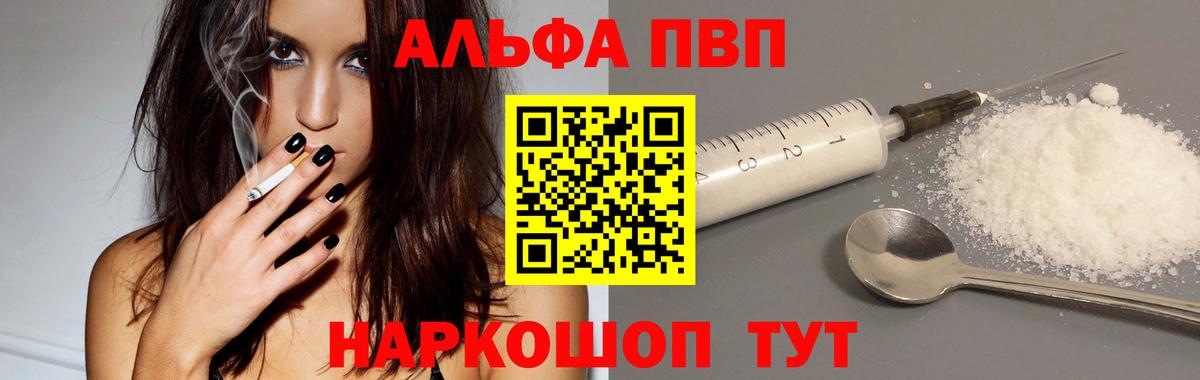 Альфа ПВП СК Санкт-Петербург