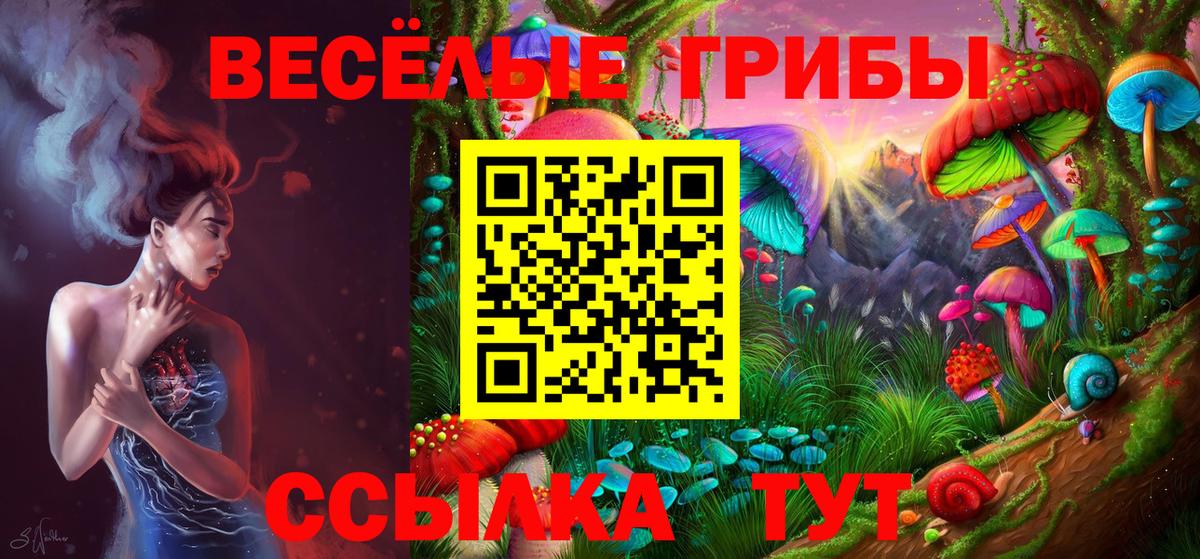 Псилоцибиновые грибы MAGIC MUSHROOMS Санкт-Петербург
